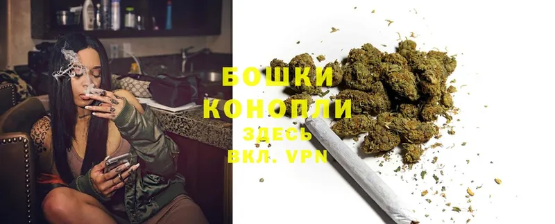 Марихуана SATIVA & INDICA  закладки  Пошехонье 